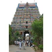 Day 06 (South India Temple Tour 11 NIGHTS  12 DAYS) Natraj Temple Chidambaram.jpg